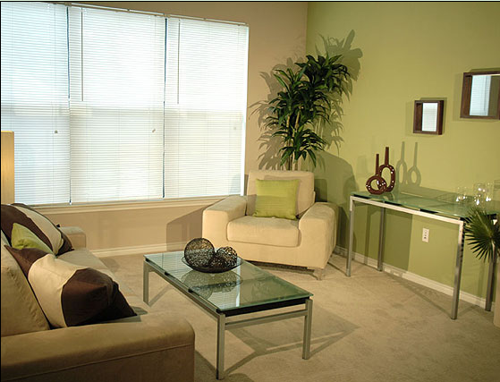 Spacious Living Room at Round Rock Texas Apartments